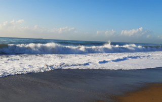 playa paisaje sonoro